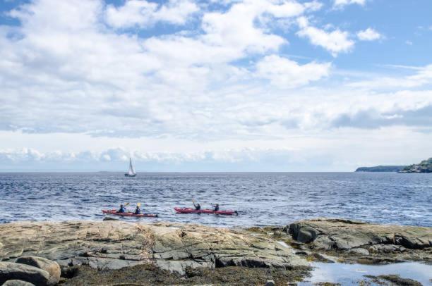 Motel De L'Anse A L'Eau Tadoussac Exteriér fotografie